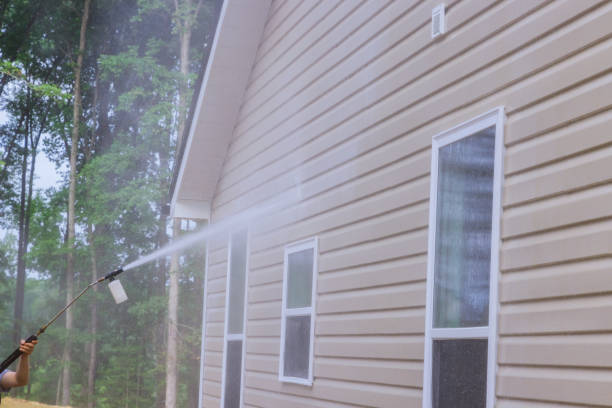 Washing house with a high-pressure nozzle spraying water and soap cleaner in order to take care the cleaning and maintenance of house