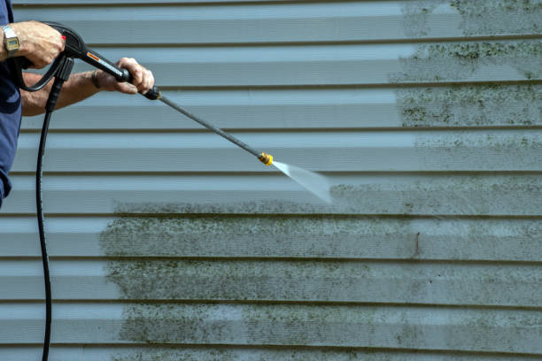 Years of mold and mildew growth is being diligently cleaned by this homeowner with a good power wash machine.